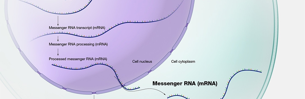 Move Over, CRISPR RNAEditing Therapies Pick up Steam Nature